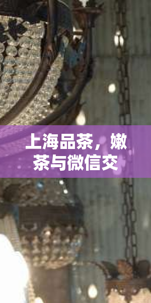 上海网上约茶APP，便捷社交新体验